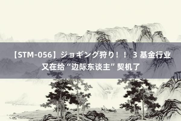 【STM-056】ジョギング狩り！！ 3 基金行业又在给“边际东谈主”契机了