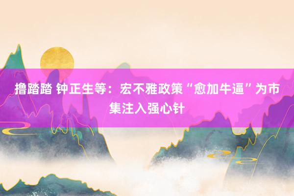 撸踏踏 钟正生等：宏不雅政策“愈加牛逼”为市集注入强心针