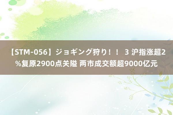 【STM-056】ジョギング狩り！！ 3 沪指涨超2%复原2900点关隘 两市成交额超9000亿元