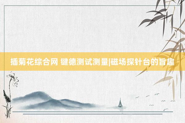 插菊花综合网 键德测试测量|磁场探针台的旨趣