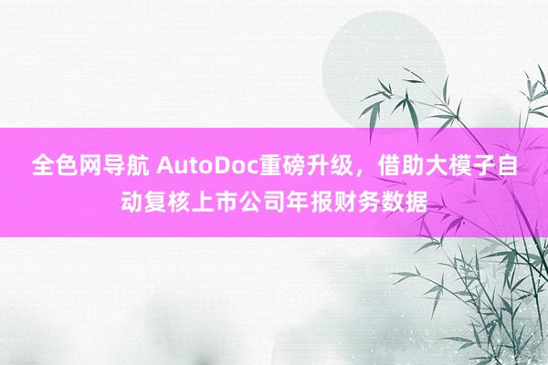 全色网导航 AutoDoc重磅升级，借助大模子自动复核上市公司年报财务数据
