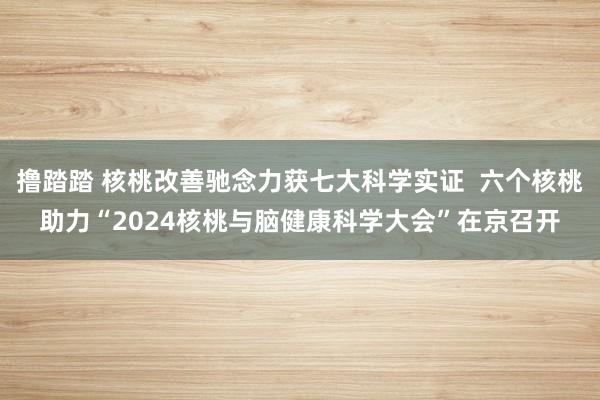 撸踏踏 核桃改善驰念力获七大科学实证  六个核桃助力“2024核桃与脑健康科学大会”在京召开