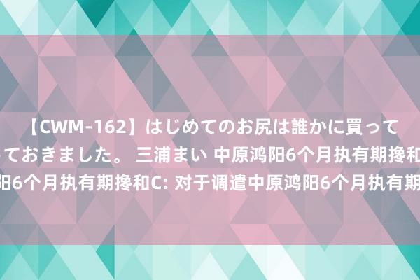 【CWM-162】はじめてのお尻は誰かに買って欲しくて今日までとっておきました。 三浦まい 中原鸿阳6个月执有期搀和A，中原鸿阳6个月执有期搀和C: 对于调遣中原鸿阳6个月执有期搀和型证券投资基金基金司理的公告