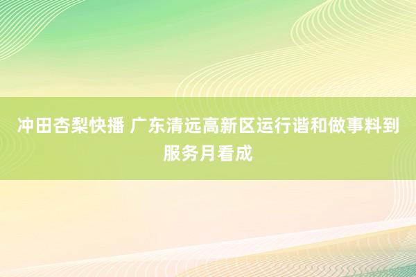 冲田杏梨快播 广东清远高新区运行谐和做事料到服务月看成