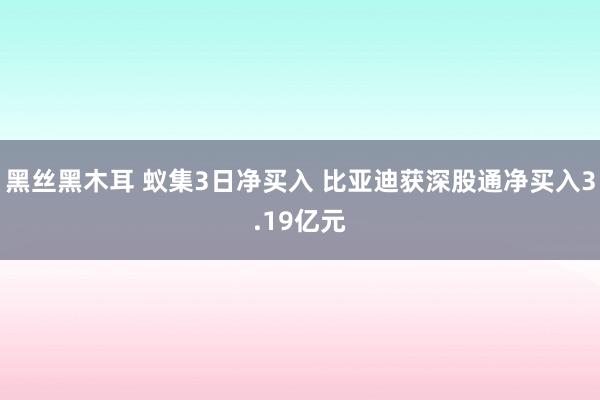黑丝黑木耳 蚁集3日净买入 比亚迪获深股通净买入3.19亿元