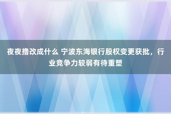 夜夜撸改成什么 宁波东海银行股权变更获批，行业竞争力较弱有待重塑