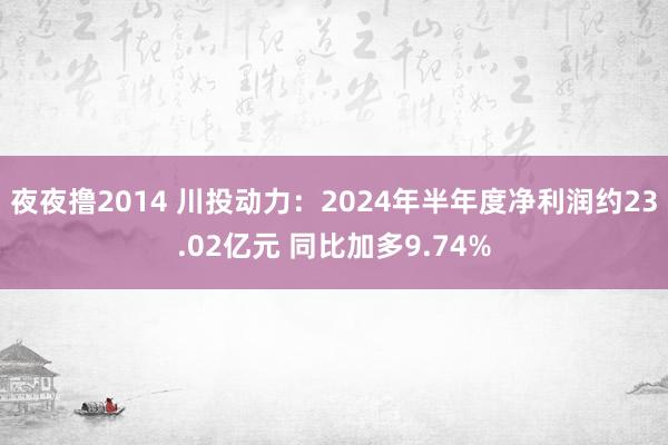 夜夜撸2014 川投动力：2024年半年度净利润约23.02亿元 同比加多9.74%