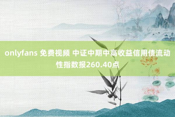 onlyfans 免费视频 中证中期中高收益信用债流动性指数报260.40点