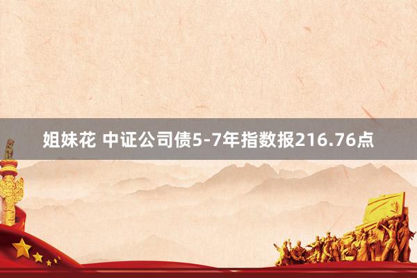 姐妹花 中证公司债5-7年指数报216.76点