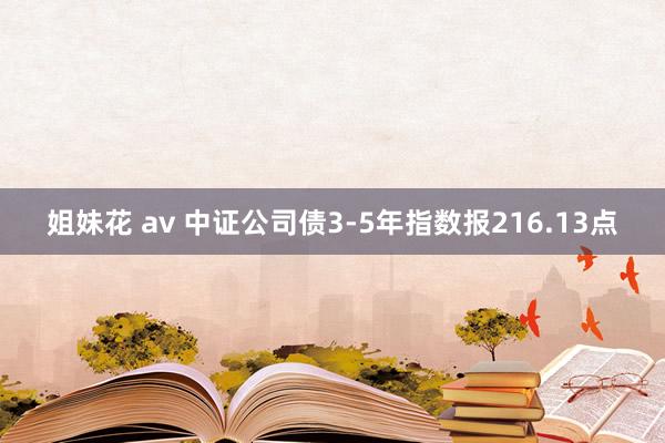 姐妹花 av 中证公司债3-5年指数报216.13点
