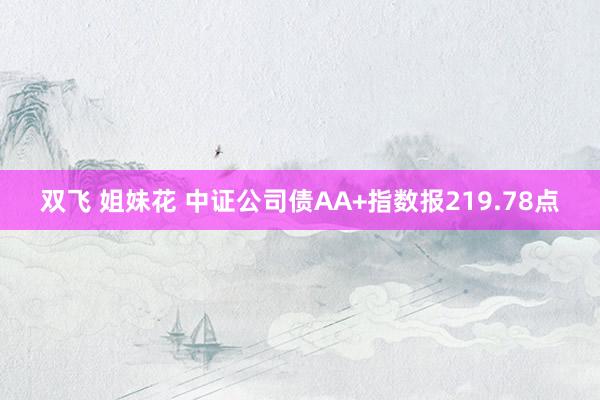 双飞 姐妹花 中证公司债AA+指数报219.78点