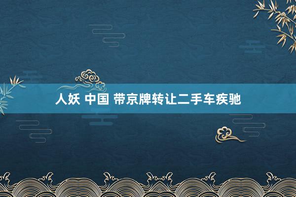 人妖 中国 带京牌转让二手车疾驰
