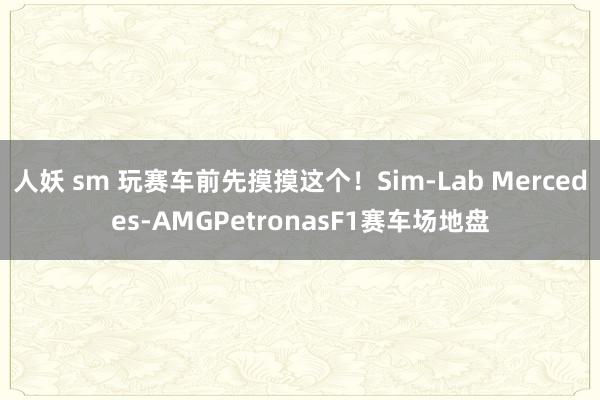 人妖 sm 玩赛车前先摸摸这个！Sim-Lab Mercedes-AMGPetronasF1赛车场地盘