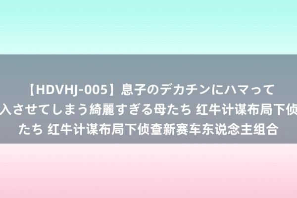 【HDVHJ-005】息子のデカチンにハマってしまい毎日のように挿入させてしまう綺麗すぎる母たち 红牛计谋布局下侦查新赛车东说念主组合