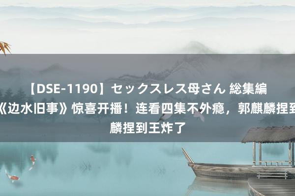 【DSE-1190】セックスレス母さん 総集編 悬疑剧《边水旧事》惊喜开播！连看四集不外瘾，郭麒麟捏到王炸了