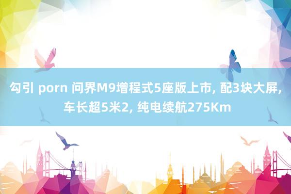 勾引 porn 问界M9增程式5座版上市， 配3块大屏， 车长超5米2， 纯电续航275Km