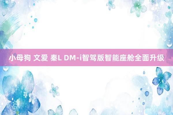 小母狗 文爱 秦L DM-i智驾版智能座舱全面升级