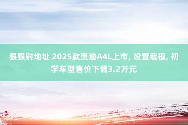 狠狠射地址 2025款奥迪A4L上市， 设置栽植， 初学车型售价下调3.2万元