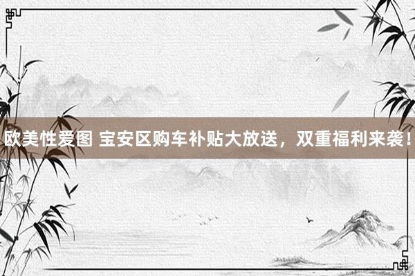 欧美性爱图 宝安区购车补贴大放送，双重福利来袭！
