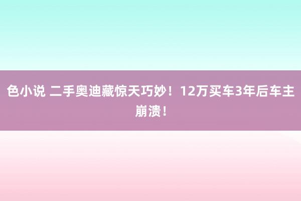 色小说 二手奥迪藏惊天巧妙！12万买车3年后车主崩溃！