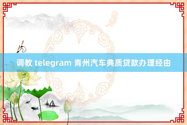 调教 telegram 青州汽车典质贷款办理经由