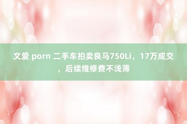 文爱 porn 二手车拍卖良马750Li，17万成交，后续维修费不浅薄