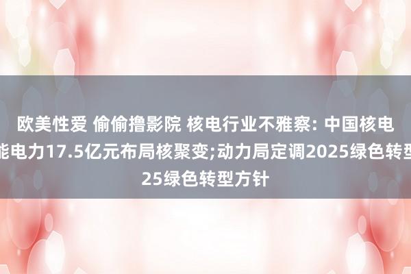 欧美性爱 偷偷撸影院 核电行业不雅察: 中国核电、浙能电力17.5亿元布局核聚变;动力局定调2025绿色转型方针