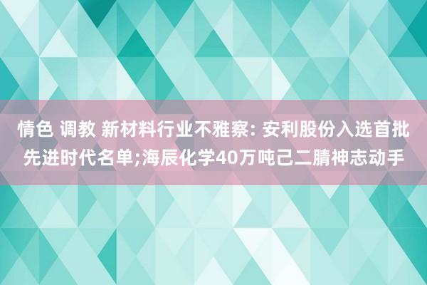 情色 调教 新材料行业不雅察: 安利股份入选首批先进时代名单;海辰化学40万吨己二腈神志动手