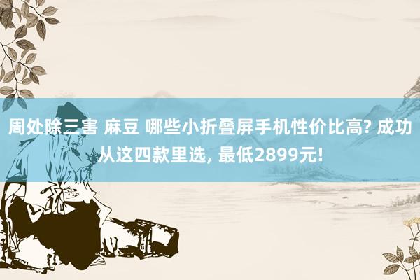 周处除三害 麻豆 哪些小折叠屏手机性价比高? 成功从这四款里选， 最低2899元!