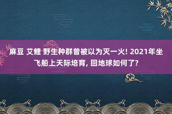 麻豆 艾鲤 野生种群曾被以为灭一火! 2021年坐飞船上天际培育， 回地球如何了?