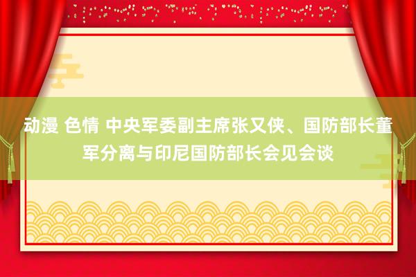 动漫 色情 中央军委副主席张又侠、国防部长董军分离与印尼国防部长会见会谈