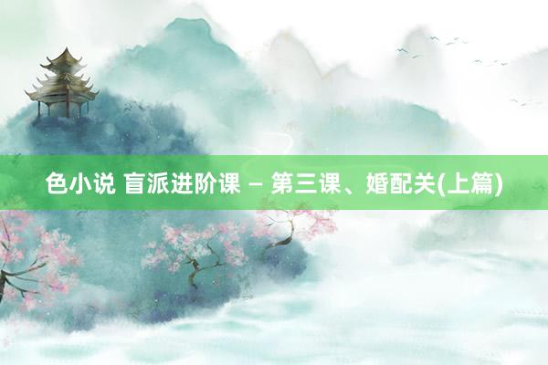 色小说 盲派进阶课 — 第三课、婚配关(上篇)