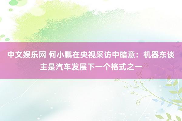 中文娱乐网 何小鹏在央视采访中暗意：机器东谈主是汽车发展下一个格式之一