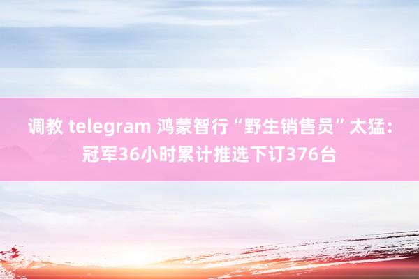调教 telegram 鸿蒙智行“野生销售员”太猛：冠军36小时累计推选下订376台