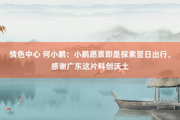情色中心 何小鹏：小鹏愿景即是探索翌日出行，感谢广东这片科创沃土